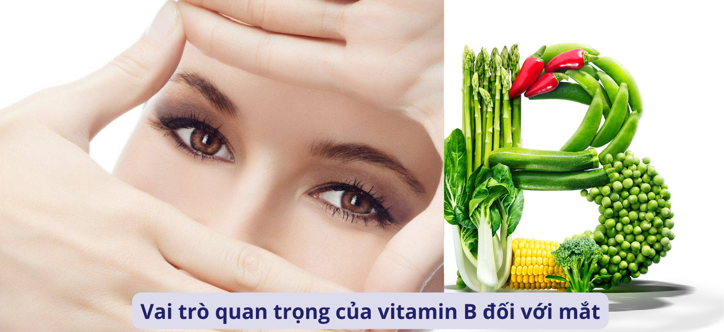 Vai trò quan trọng của vitamin B đối với mắt